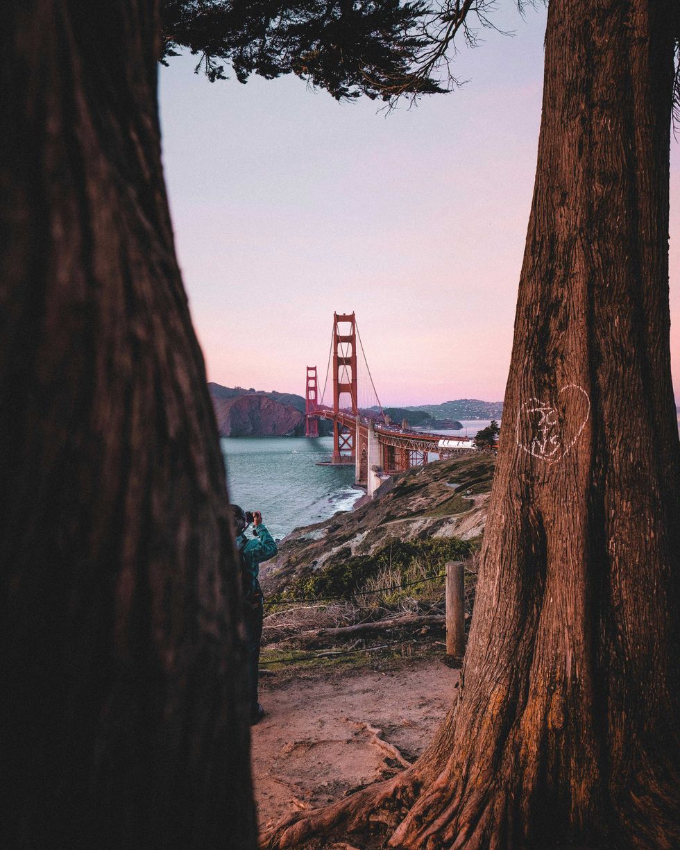 Golden Gate Bridge at sunset, viewed through trees with a person taking photos.