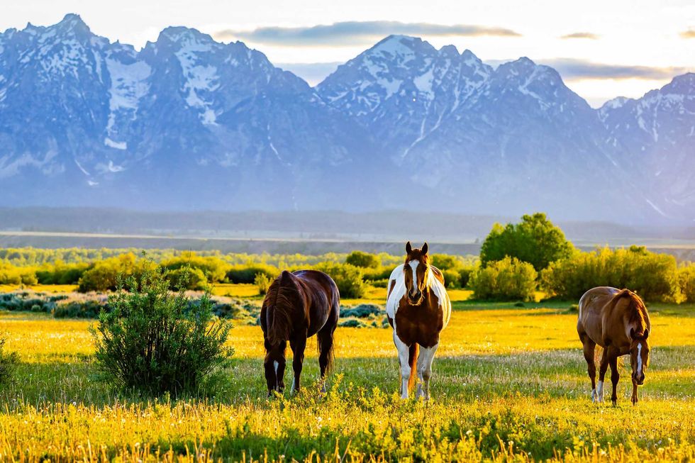 Grand Teton National Park