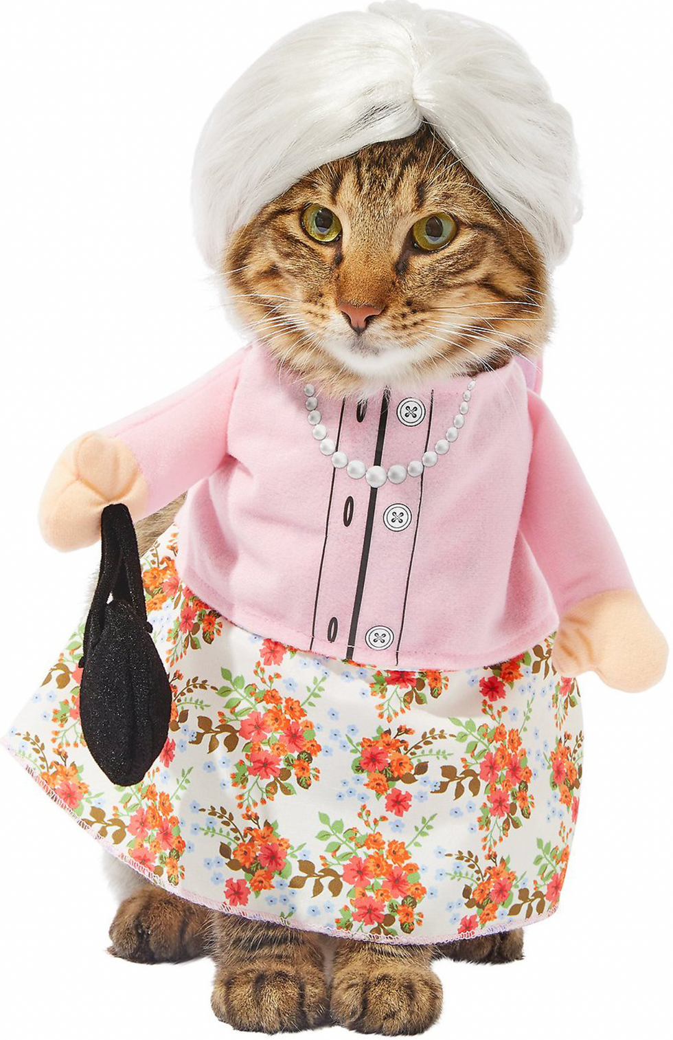 granny cat costume