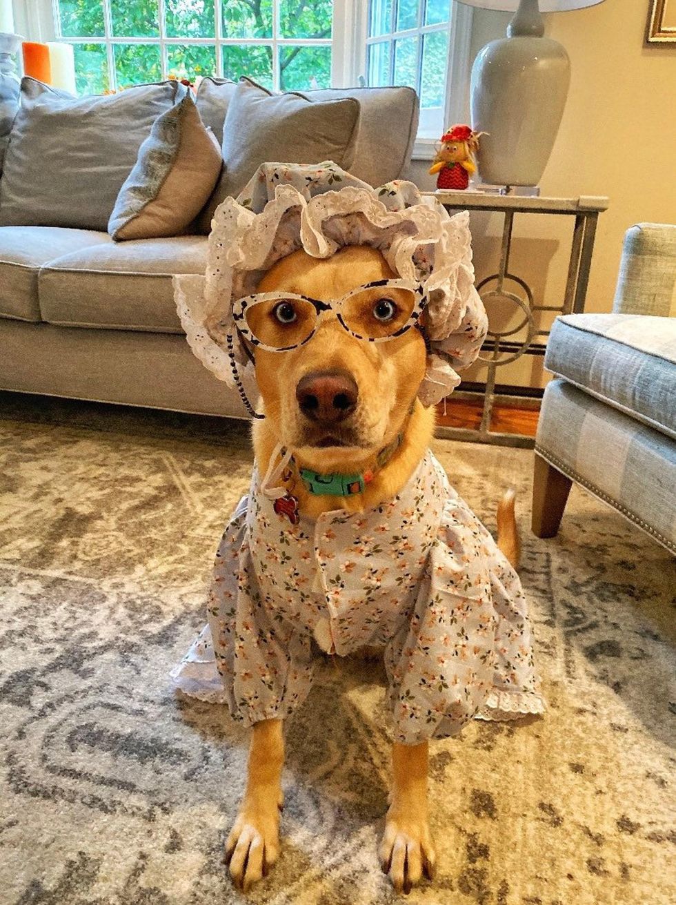 granny costume