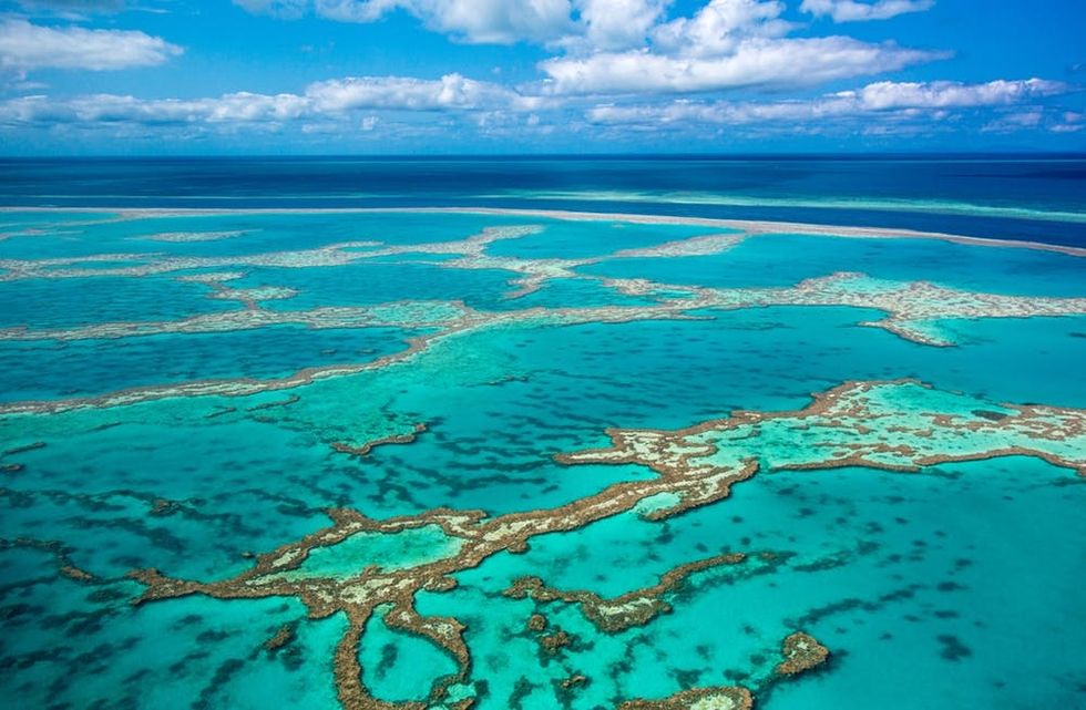 Great Barrier Reef in Australia