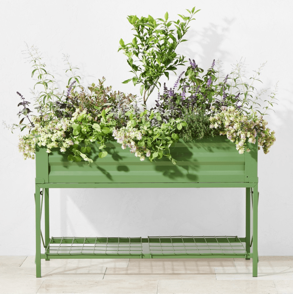 Green planter with lush herbs and flowers on a light background.