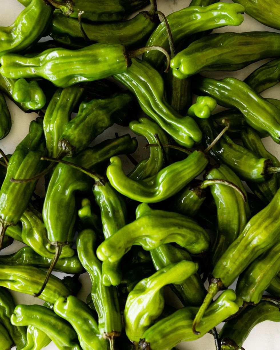 green shishito peppers