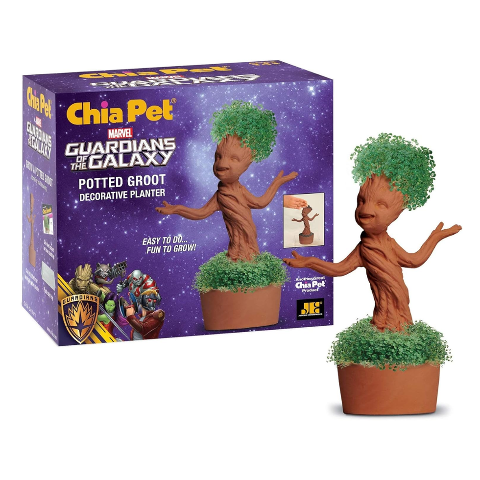 Groot Chia Pet
