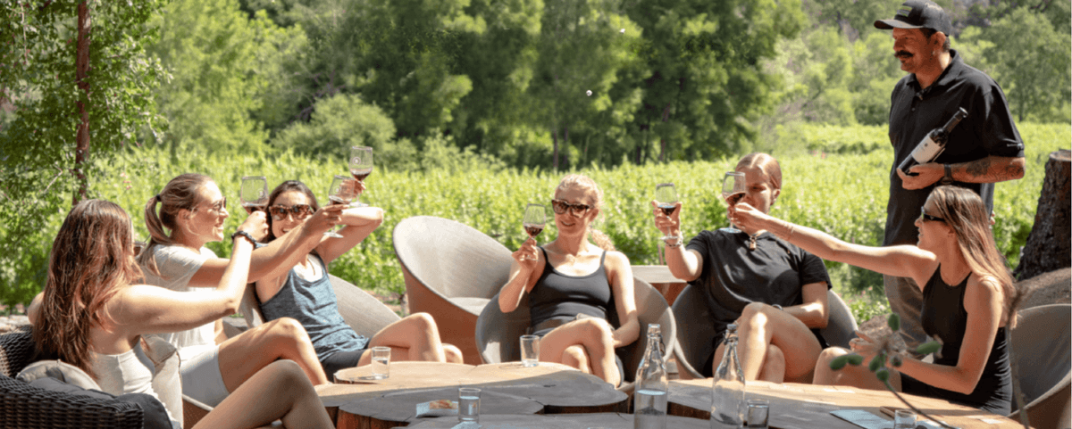 Group of people toasting with wine outdoors in a vineyard setting.