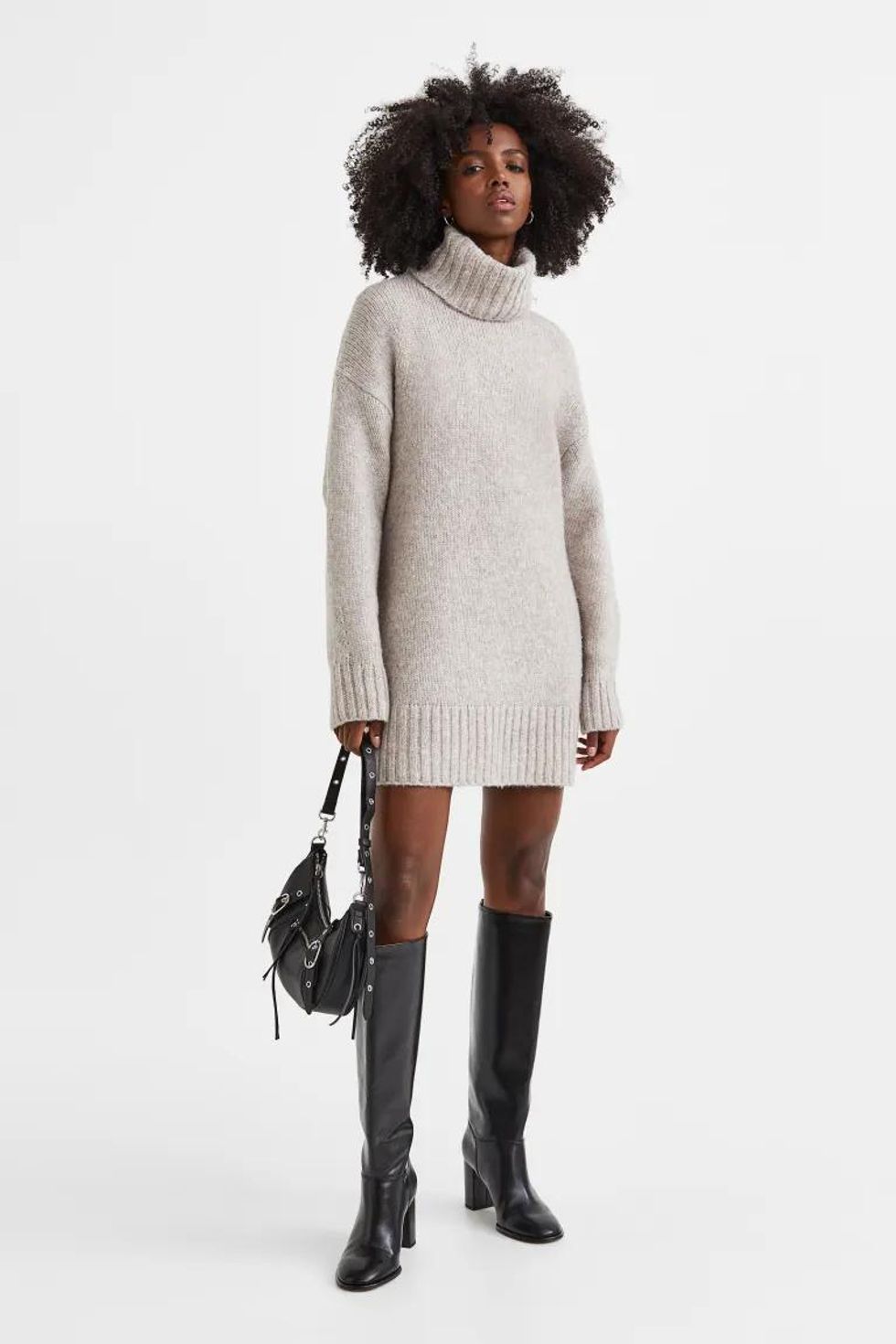 H&M Turtleneck Sweater Dress