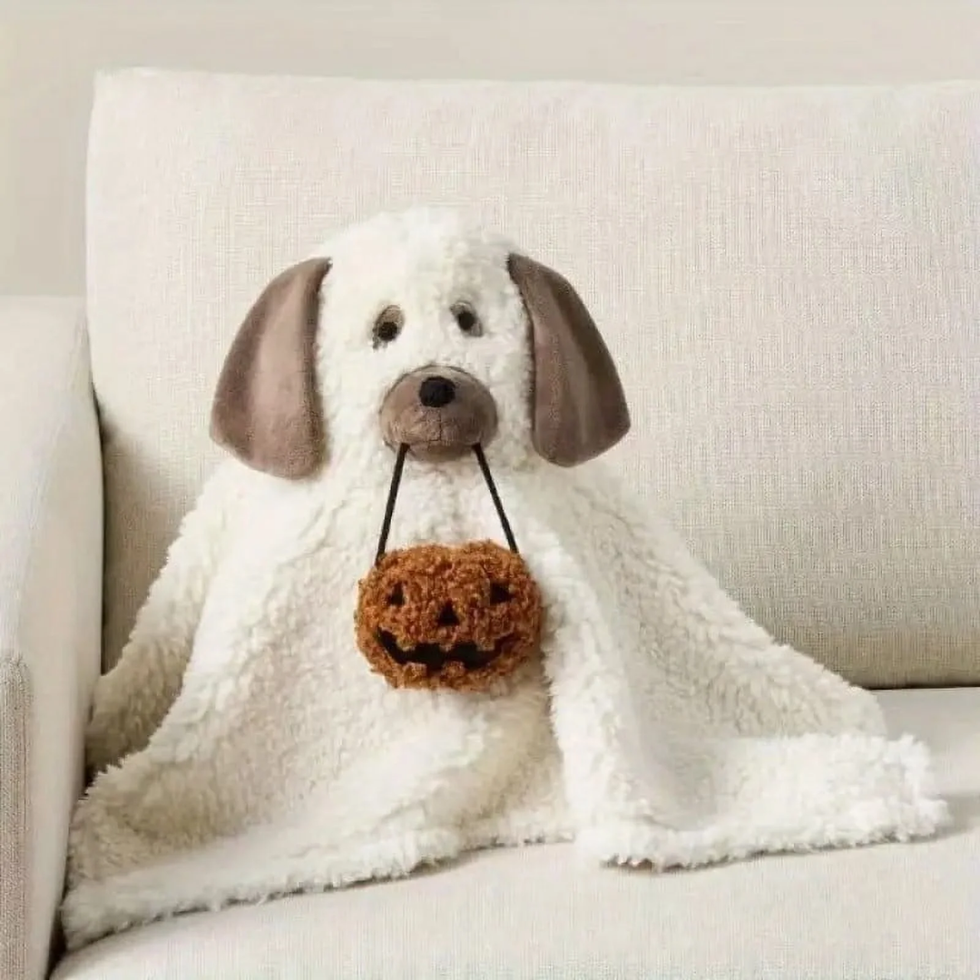 Halloween Dog Decorative Pillow