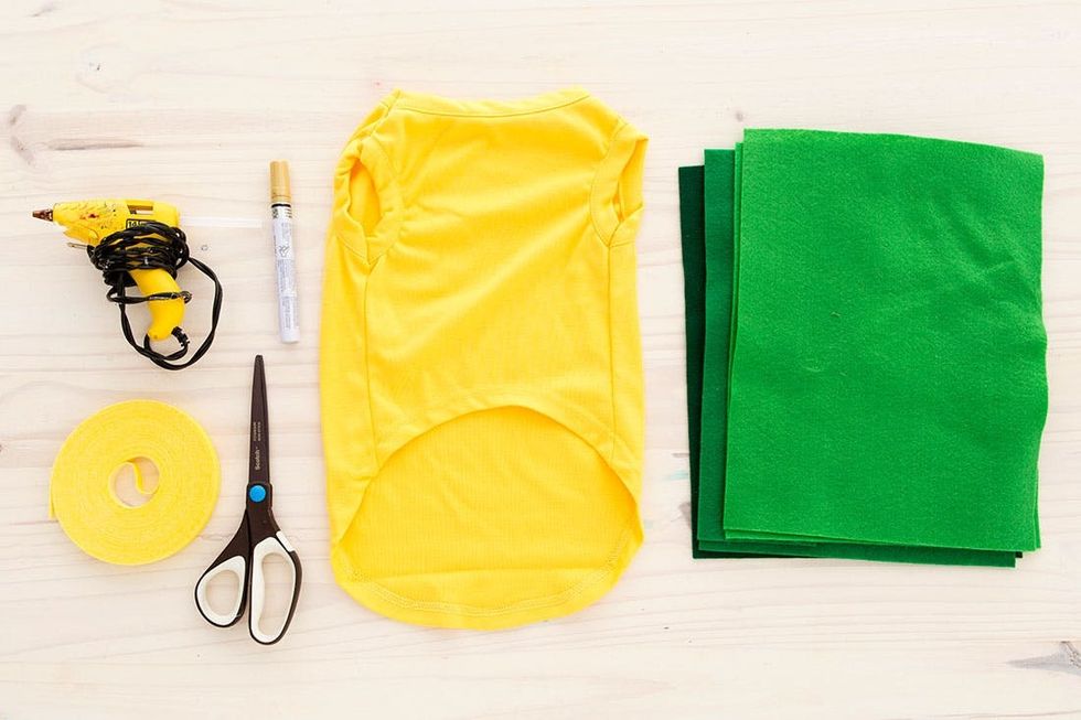 Halloween_Dogs_5Costumes_001