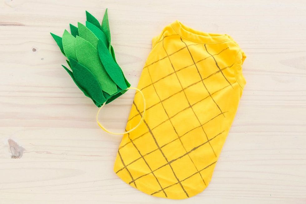 Halloween_Dogs_5Costumes_009