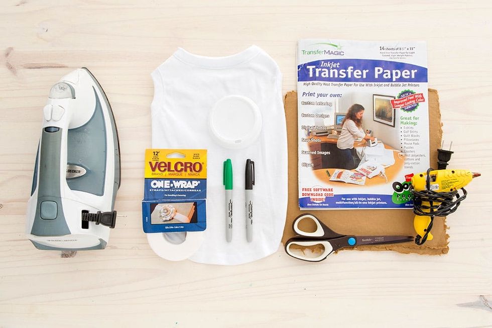 Halloween_Dogs_5Costumes_041