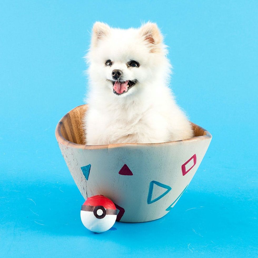 Halloween_Pokemon_Costume_39