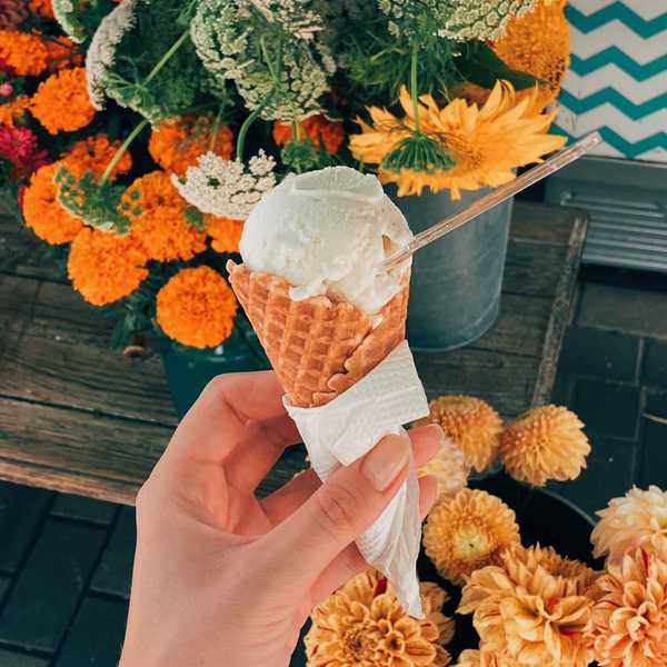 Hand holding ice cream cone with flowers in the background.