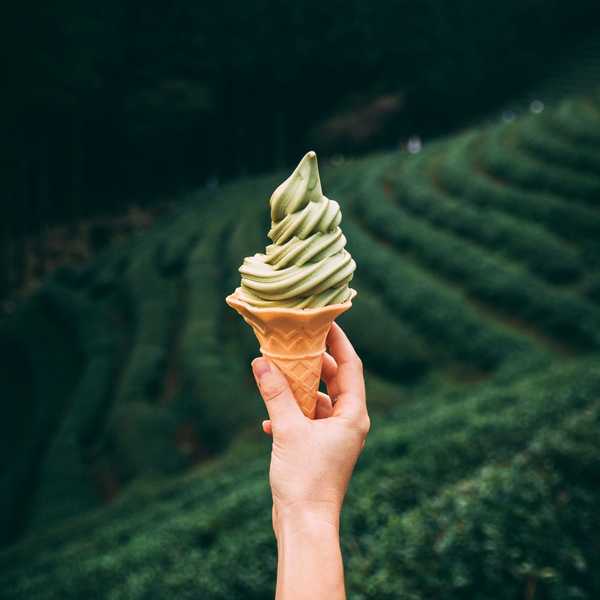 Hand holding matcha ice cream cone in front of lush green tea plantation.