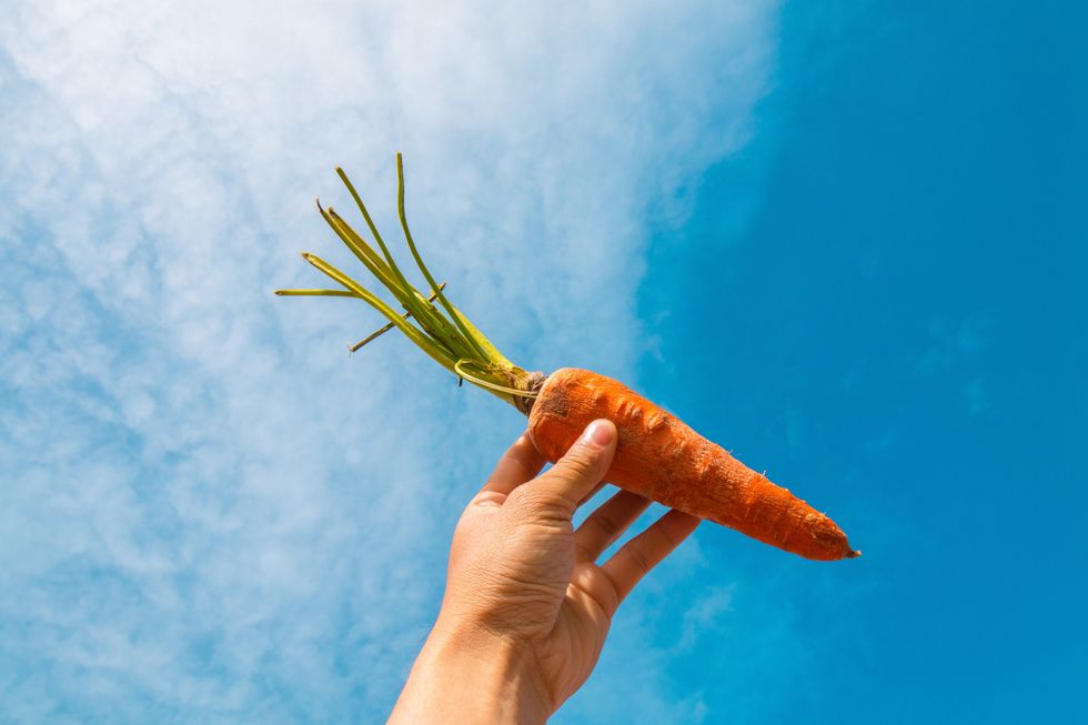 hand holding up a fresh carrot against blue sky background