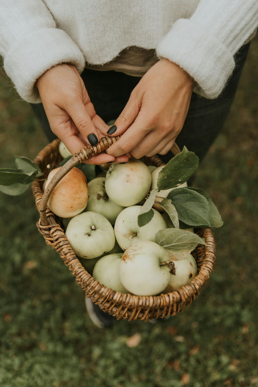Hands holding a basket of green apples with leaves on grass.