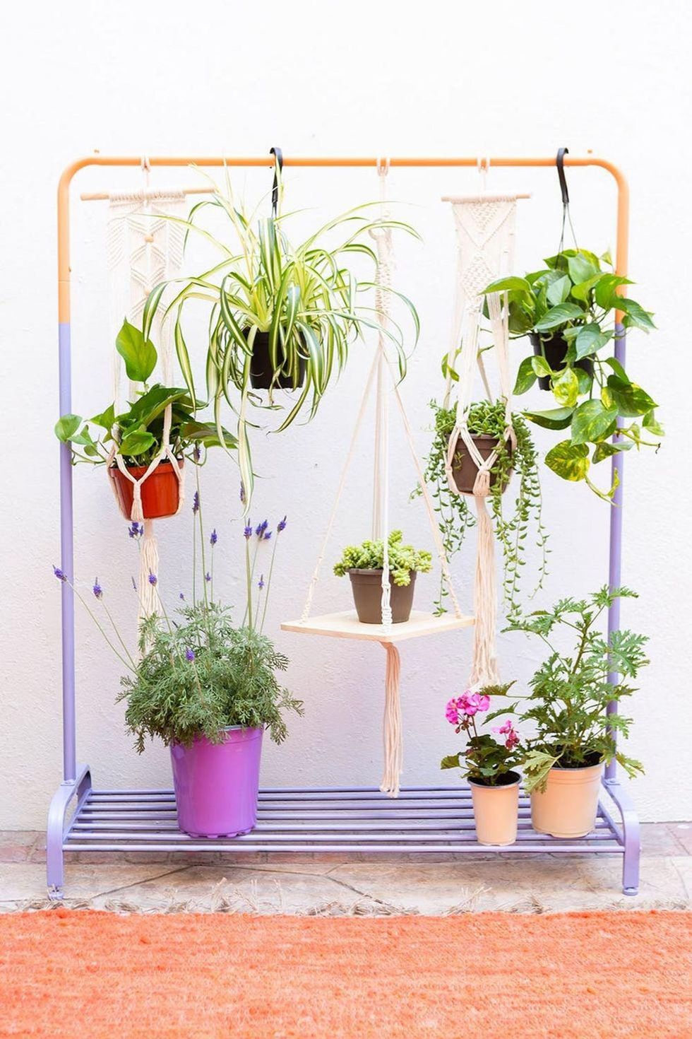 hanging plant rack for indoor gardening hacks