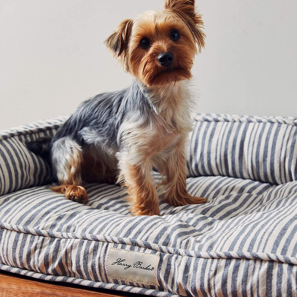 Harry Barker Market Stripe Dog Bed