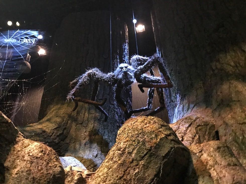 Harry Potter forbidden forest