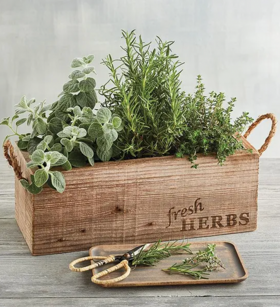 herb kit