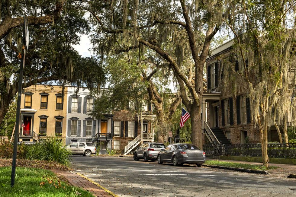 Historic street with moss-draped trees and classic homes under a clear sky.