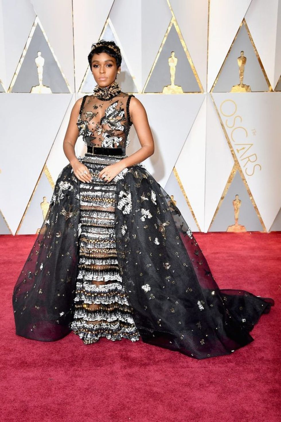 HOLLYWOOD, CA - FEBRUARY 26: Singer/actor Janelle Monae attends the 89th Annual Academy Awards at Hollywood & Highland Center on February 26, 2017 in Hollywood, California. (Photo by Steve Granitz/WireImage)