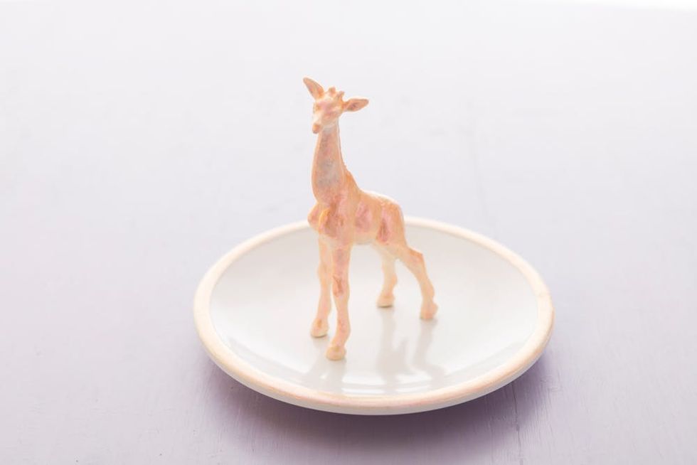 holographic_diys_025_finisheddish