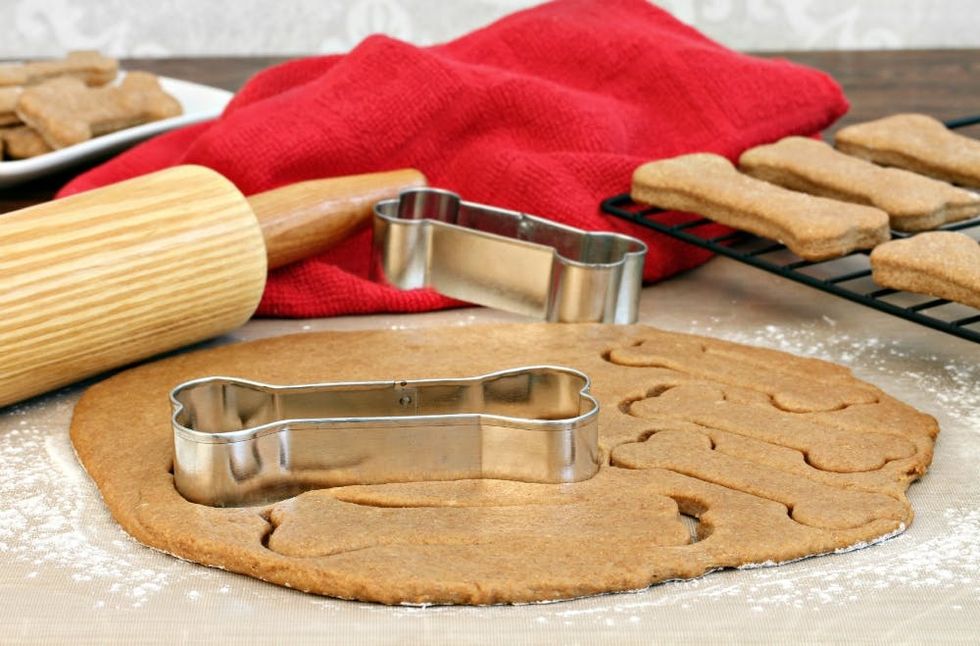 homemade-dog-treats-lg