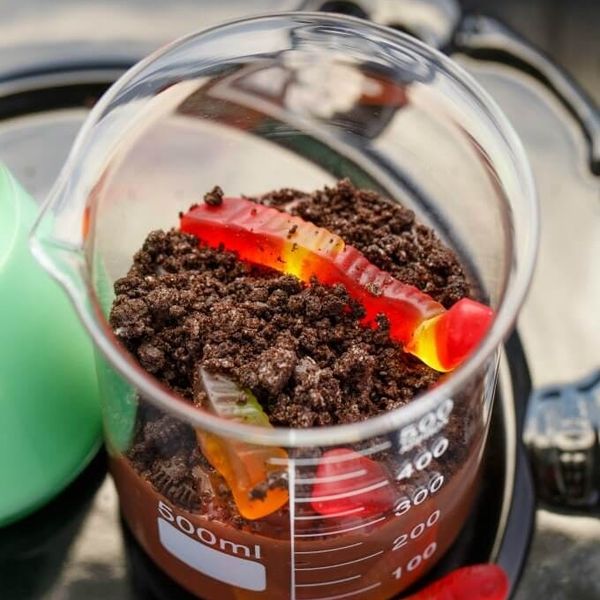 Homemade Worms and Dirt Dessert