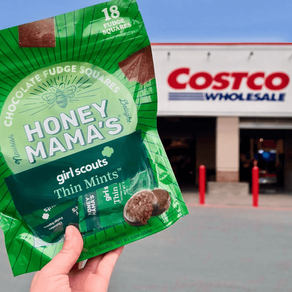 Honey Mama's Girl Scout Thin Mints Chocolate Fudge Squares