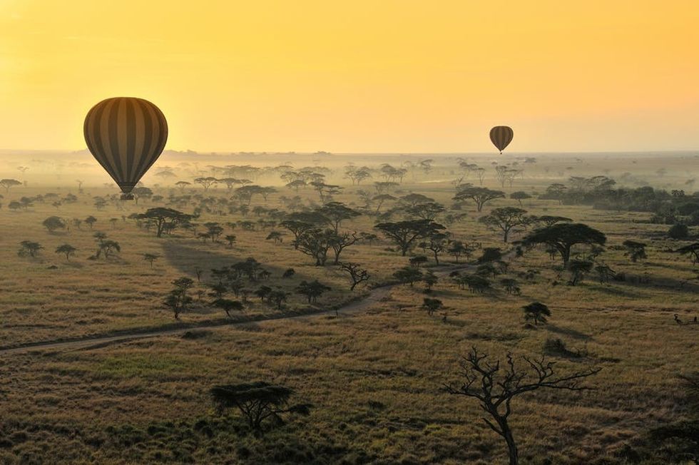 Hot Air Balloons Over the Serengeti