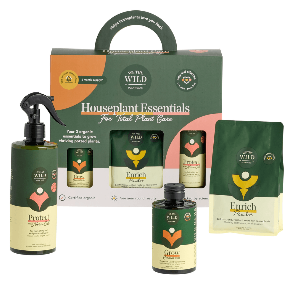 Houseplant care kit with organic products: spray, powder, and concentrate.
