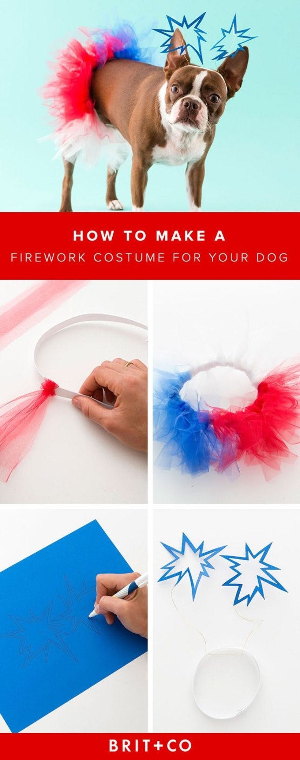 How-To-Make-A-Firework-Costume-For-Your-Dog.jpg