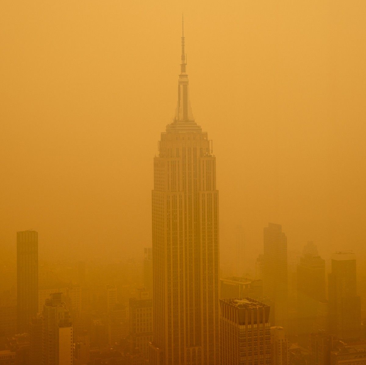 How To Recover From Poor Air Quality Brit + Co