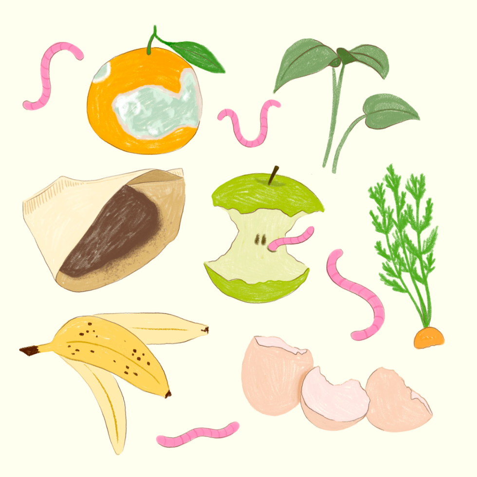 How To Start Composting And Why It Can Help Our LaptrinhX / News