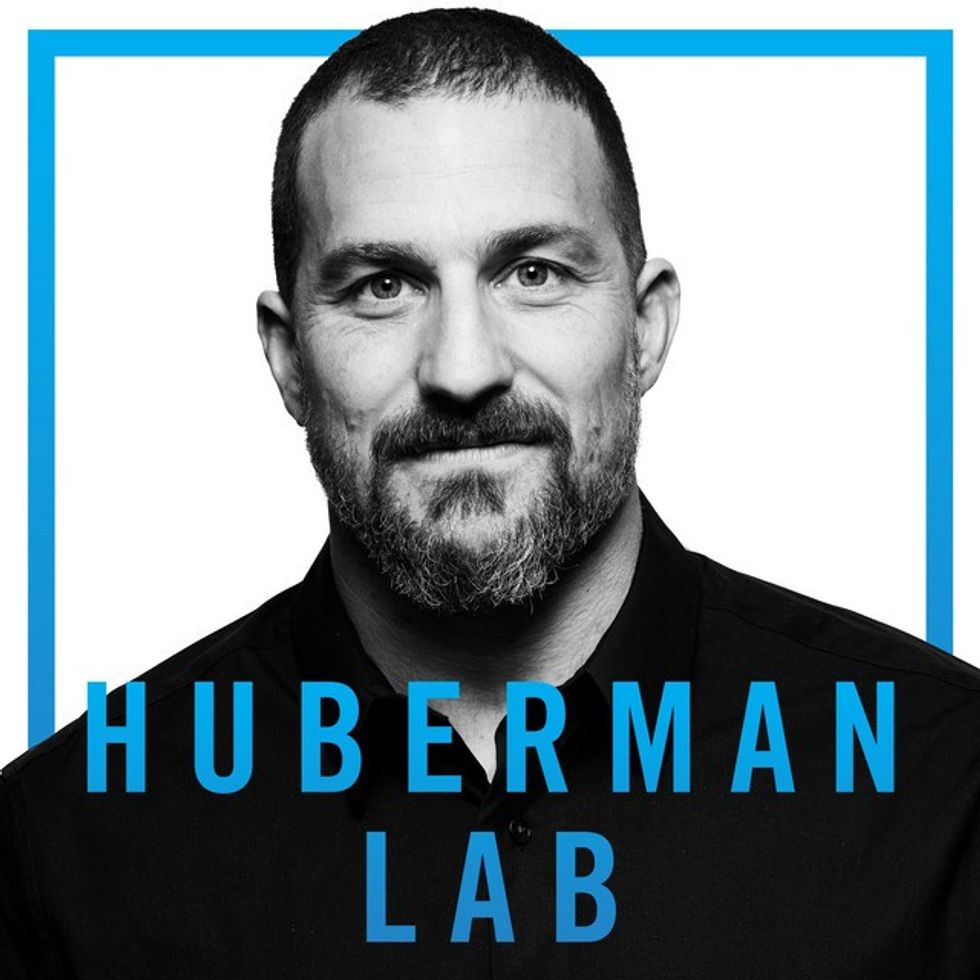 huberman lab