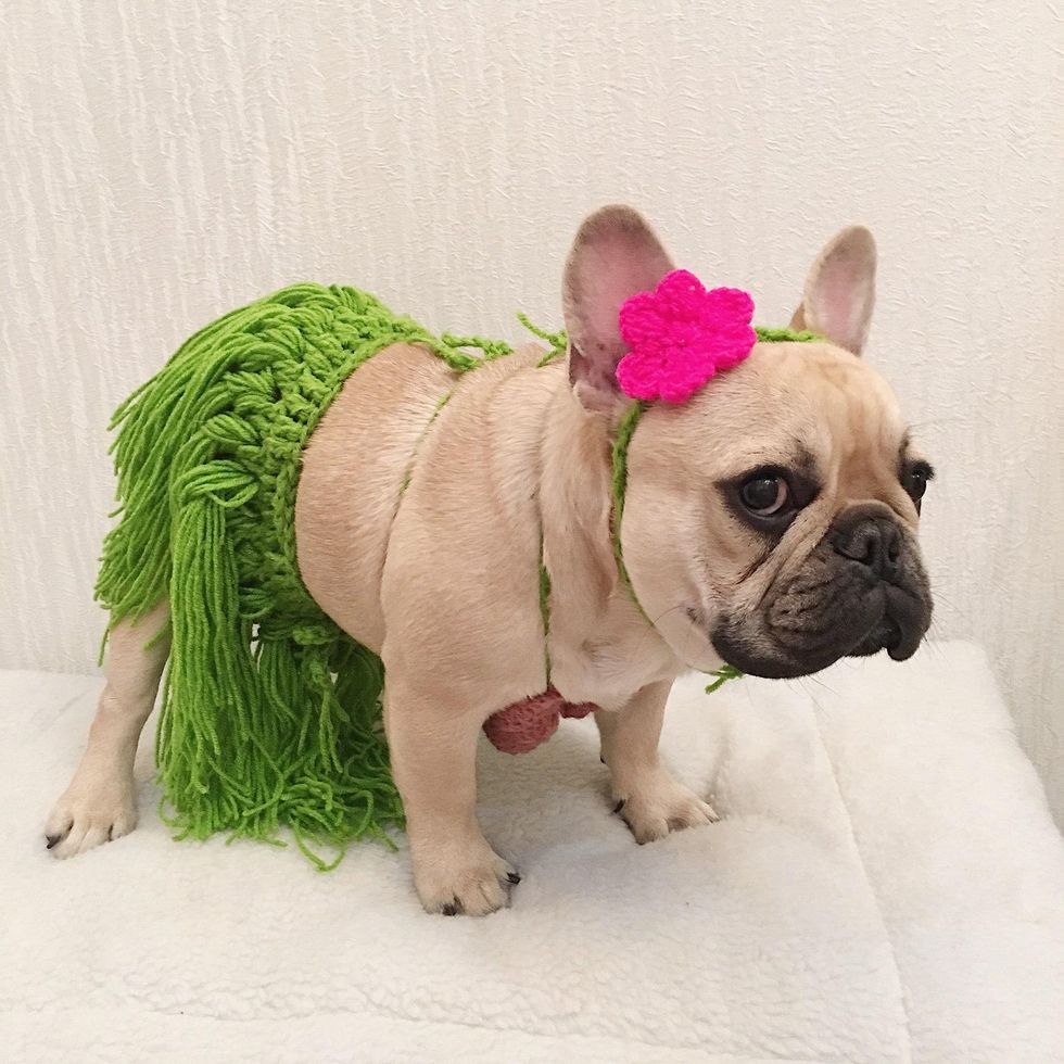 hula-girl costume