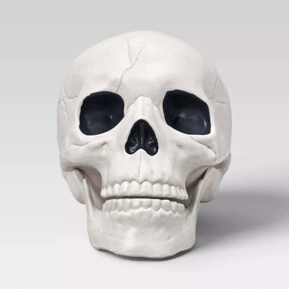 hyde & eek! boutique skull halloween decorations