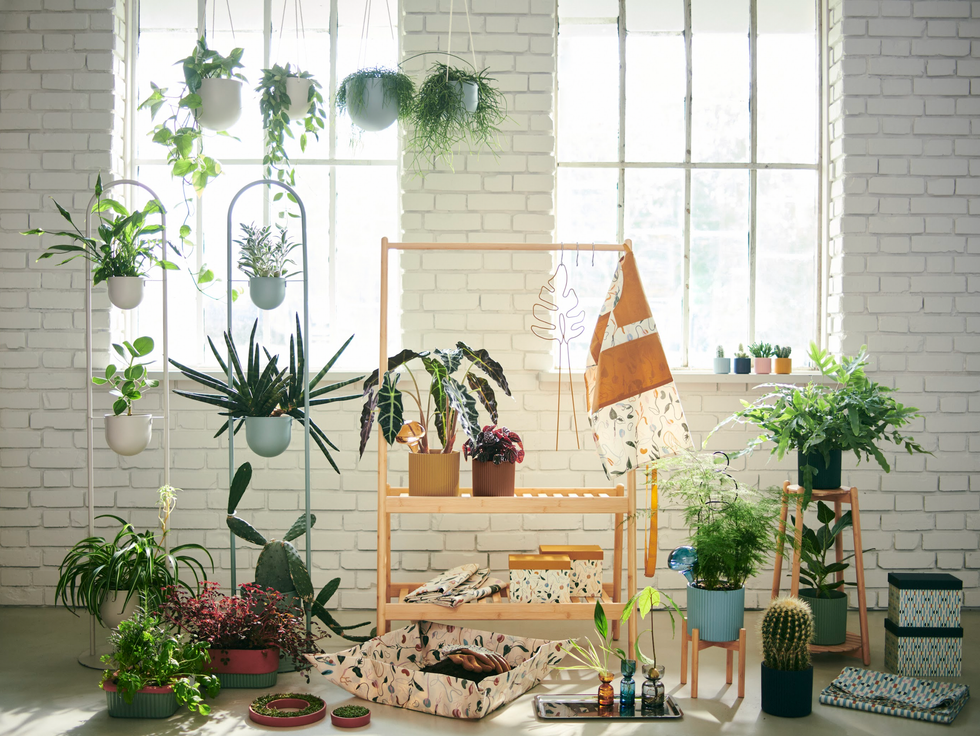 ikea garden collection