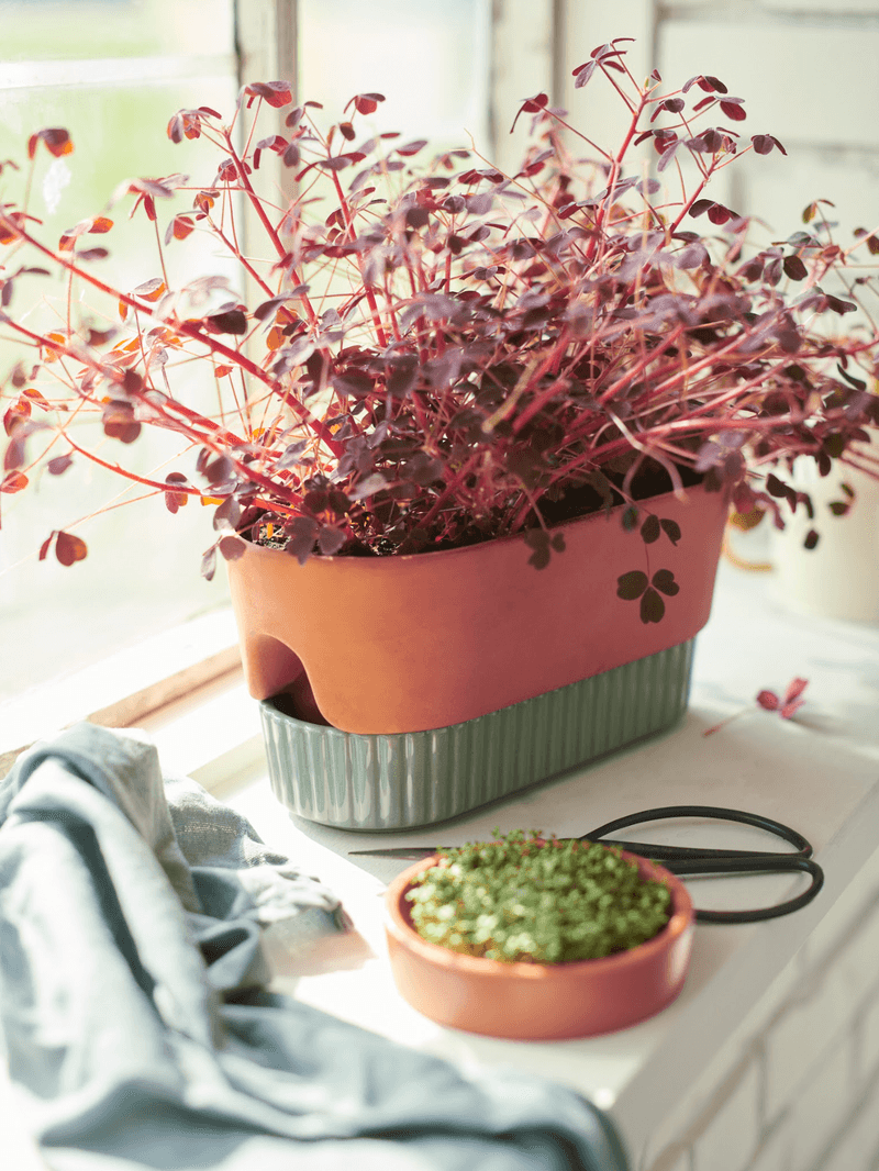 Plant Parents Rejoice: IKEA's DAKSJUS Collection! - Brit + Co