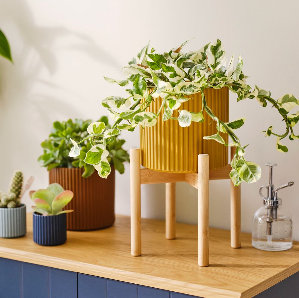 ikea planters