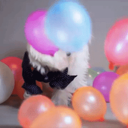 Giphy Just Made It Super Easy to Create Your Own GIFs