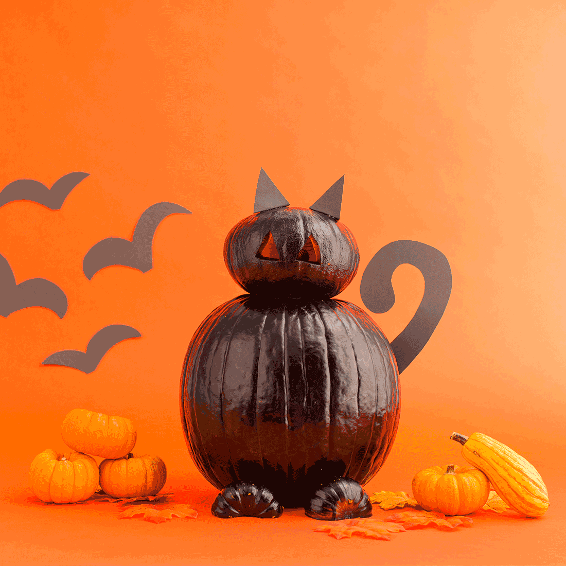 How to Turn Your Pumpkins into a Stoop Cat