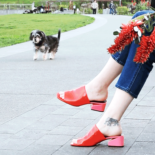 Accessory of the Week: Sassy Red and Pink Valentine’s Day Mules