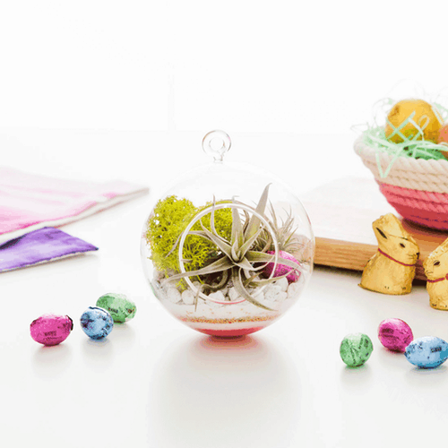 Turn a Terrarium into a Miniature Egg Hunt With This DIY