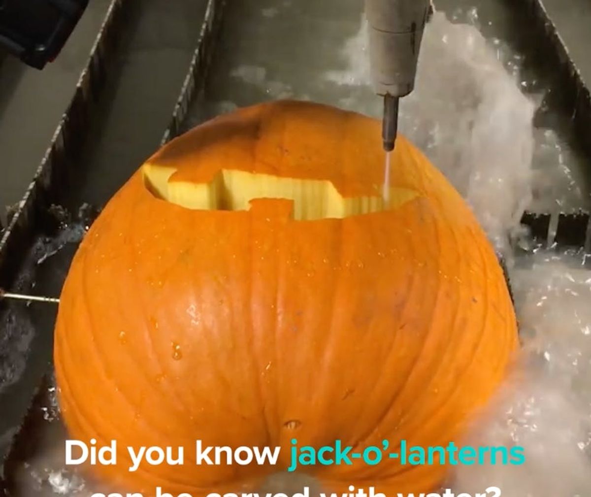 WTF! Pumpkins Can Be Carved With Water - Brit + Co