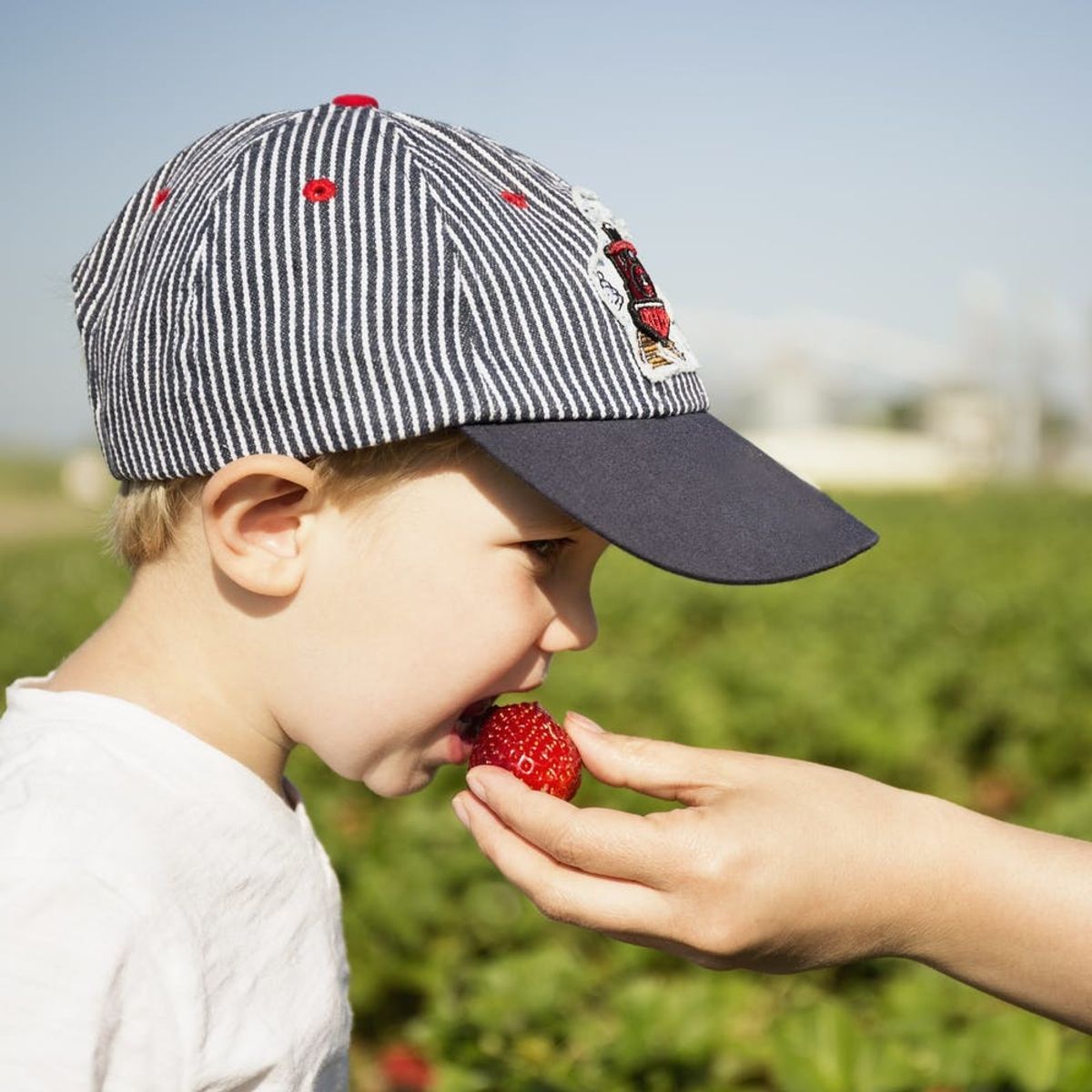 How the Trump-Backed ‘Farm Bill’ Will Hurt Women Food Stamp Recipients Most
