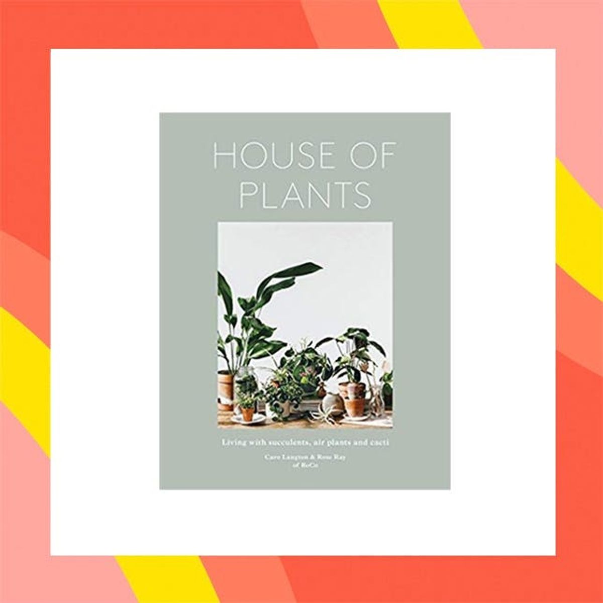 12 Under-$50 Ways to Treat Yo’ Plants from Amazon