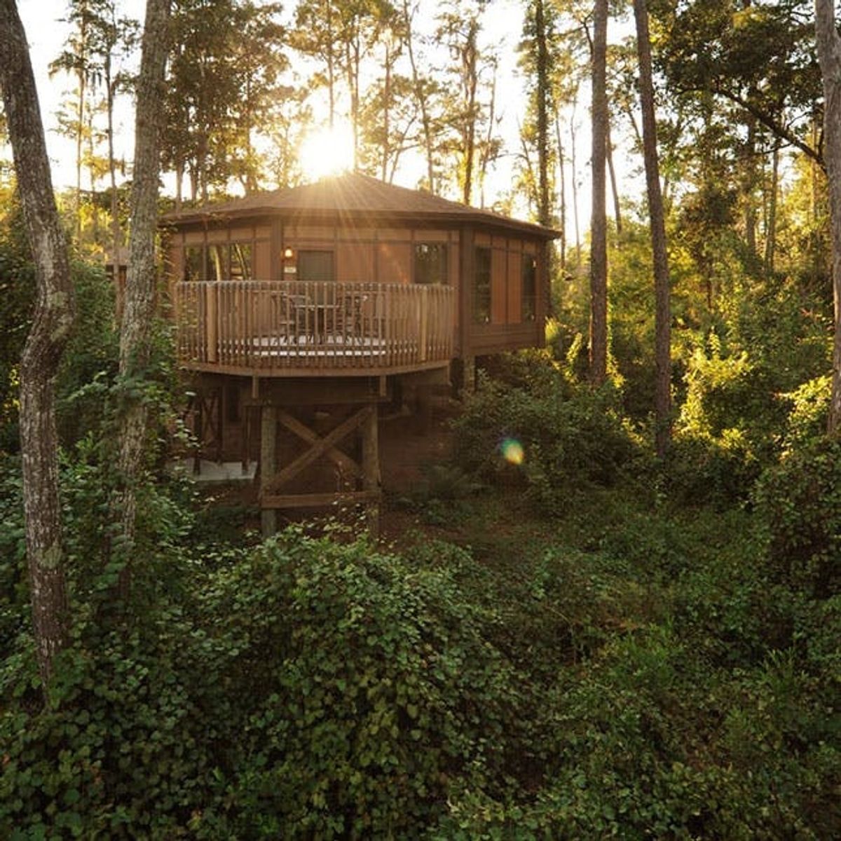 These Are the Most Relaxing and Exotic Disney World Vacation Experiences