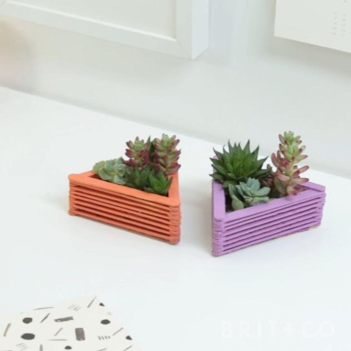 How to DIY Succulent Planters