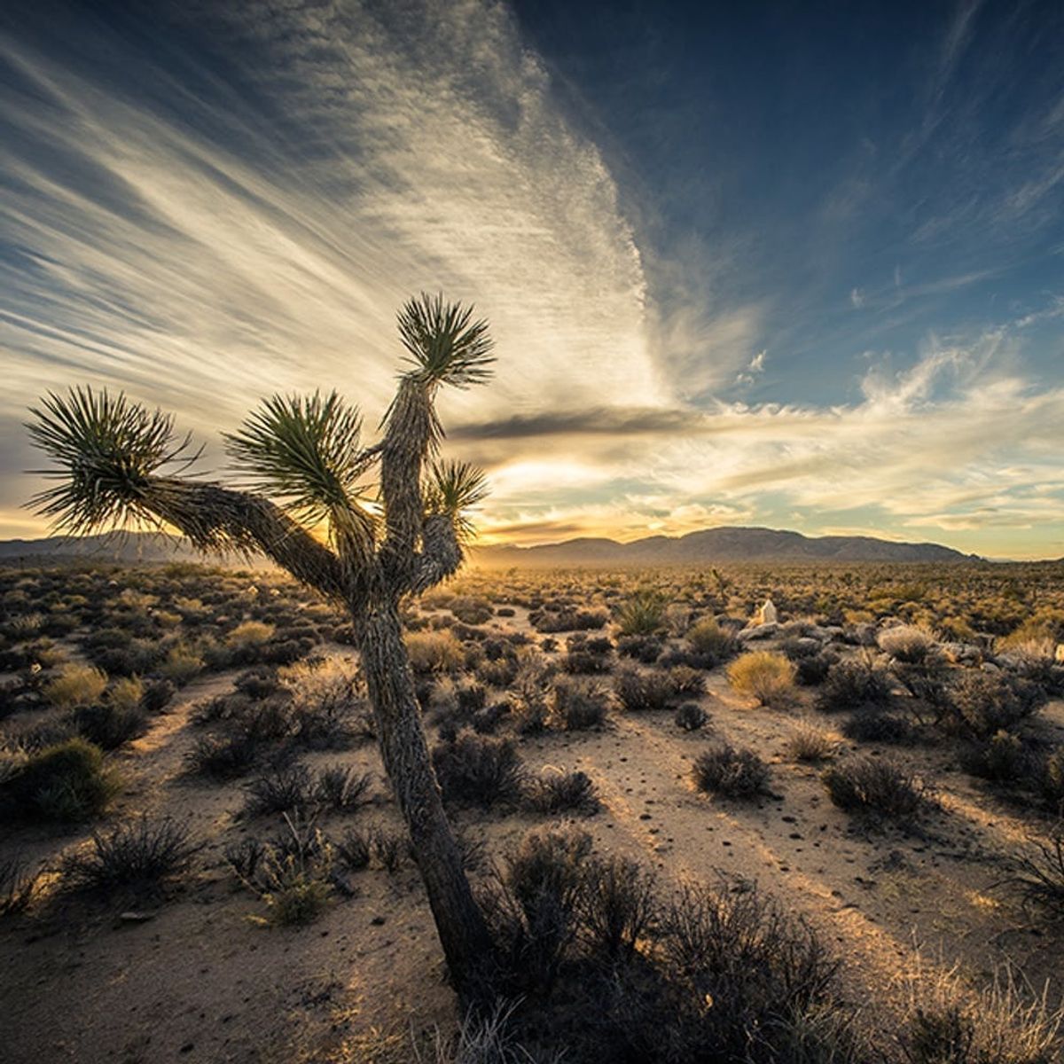 5 Dreamy Destinations for Your First Trip as a Couple